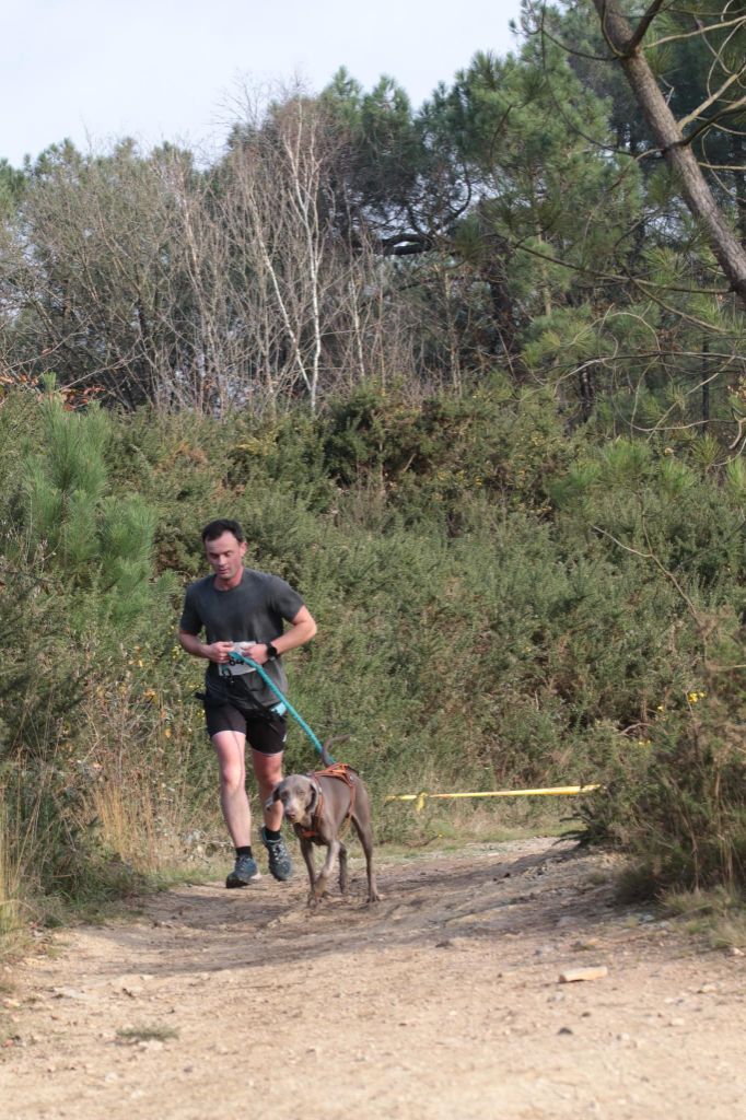 Canicross Shaïka saison 2024/2025